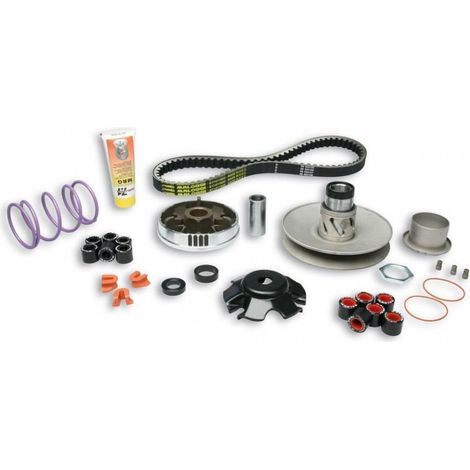 Variator malossi für Roller piaggio 50 fly 2t nach 2005 6114219 / (1/3)