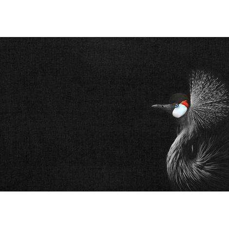 Papier peint panoramique noir moderne pour chambre adulte Tapisserie panoramique oiseaux Papiers peints panoramiques tendances pour salon (1/2)