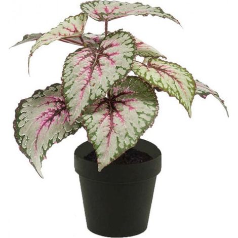 Bégonia artificiel en pot gris/rose 25 cm - Plante d'intérieur artificielle (1/5)