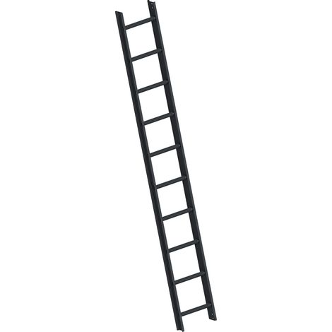 Layher 1051 Dachleiter anthrazitgrau 10 Sprossen (1/4)