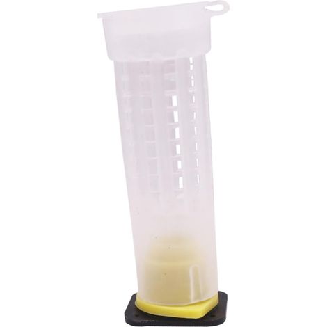 Cage de Protection pour Reine D’abeille 30 Pièces en Pp Grille Irrégulière, Couvre sans Blesser les Abeilles, Usage Apiculture, Lot de 30 (1/5)