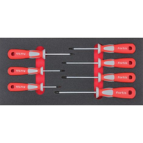 Modulo Torx Cacciaviti Fortis