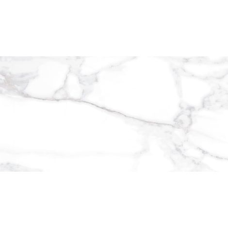 Mexen Viola Gres grigio rettificato smaltato G1, piastrella pavimento-parete 120 x 60 cm, lucida - TL130-120-060-02 (1/5)