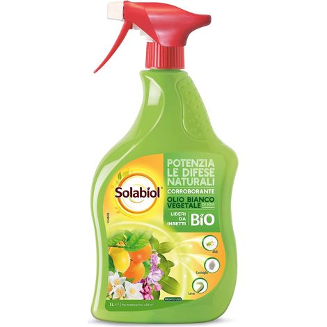SOLABIOL Olio Bianco Vegetale di SOIA Pronto Uso. Potenziatore delle difese delle piante da attacchi degli insetti come afidi, cocciniglia. 1 LT Pronto Uso (1/5)