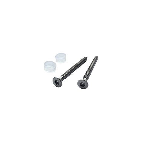Tornillo Legrand long platinum 20 mm tornillo largo