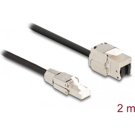 Delock Cable RJ45 macho montaje en campo a MÃ³dulo Keystone RJ45 hembra Cat.6A de 2 m