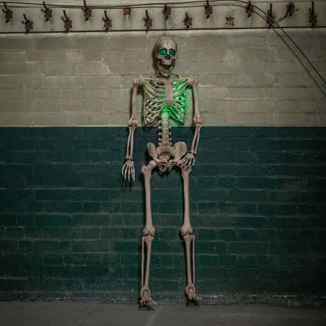 5ft (152cm) Battery Powered Light up Halloween Skeleton with Poseable Joints & Green LEDs (1/5)