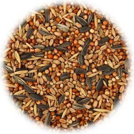 25 kg de graines pour oiseaux