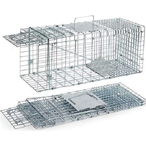 Cradle Pawise 3 en 1 56x43x17.8 cm rouge