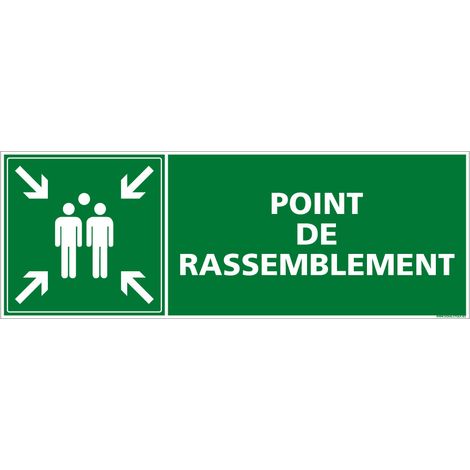 Panneau de signalisation point de rassemblement ISO 7010 E007 - Évacuation et secours - Aluminium 2 mm - 980 x 350 mm (1/5)