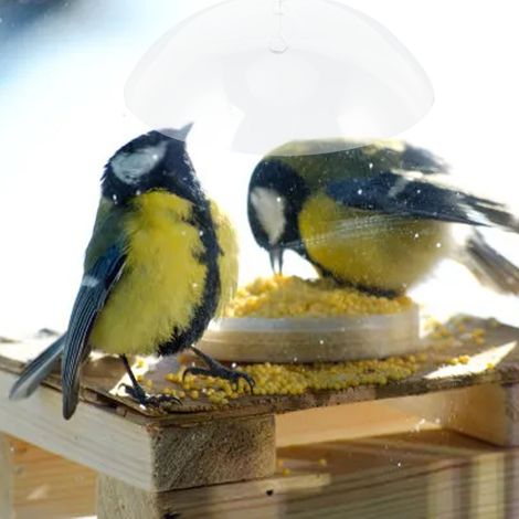 Couvercle de protection pour mangeoires à oiseaux afin d'empêcher les écureuils de voler la nourriture. (1/5)