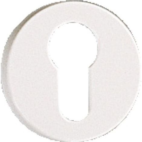 Rosace/2 Arcolor Blanc Borgne (1/4)