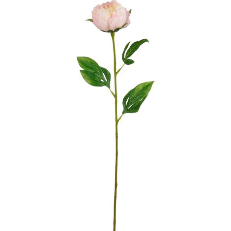 Mica Decorations Kunstpflanze Peonie hellrosa 60 cm Pflanze