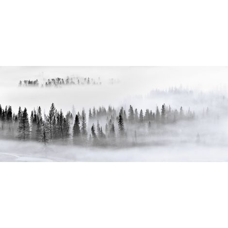 papier peint panoramique montagnes avec des arbres noir, blanc et gris  - Sanders & Sanders (1/3)