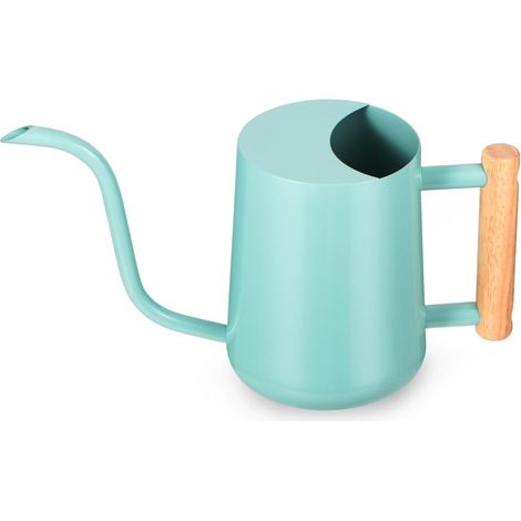 Watering Can for Indoor Plants 1L Small Watering Can Decorative Modern Stainless Steel Watering Can with Long Spout for Home Bonsai Outdoor Garden Green (1/5)