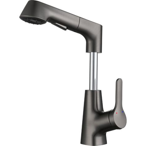 Küchenarmatur Ausziehbar, Spültischarmatur mit Brause Zwei Wasserstrahlarten, Armatur Küche 360° Schwenkbar, Mischbatterie Küche Edelstahl-Gris (1/5)