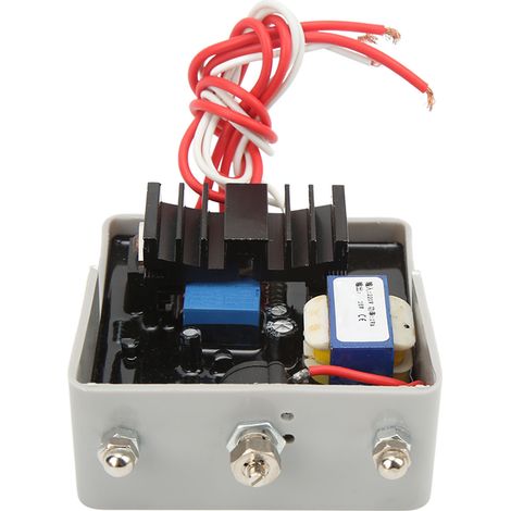 Régulateur de tension automatique (AVR) - Contrôleur 220 V entrée / 15 V sortie - Accessoire pour générateur (1/5)