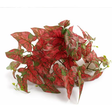 30cm Artificial Trailing Red Caladium (1/5)