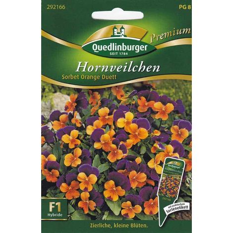 Quedlinburger Hornveilchen Sorbet Orange Duett - Blumensamen (1/2)
