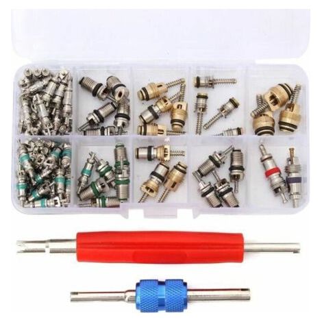 100x Valve Core R12/ R134A Voiture Air Climatiseur Vanne Noyau Démonte obus Kit