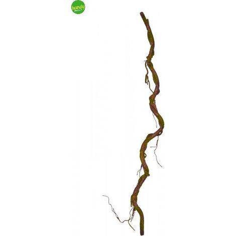 Radice Arpimex cm 180