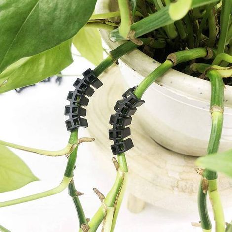 100 pinces à plantes en plastique noir, clips de renforcement pour tomates afin d'éviter la flexion et la casse des branches