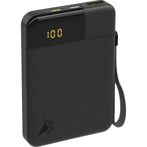 Aqiila Powerbird B5B Power bank 5000 mAh LiPo USB-A, USB-C® Nero (1/5)