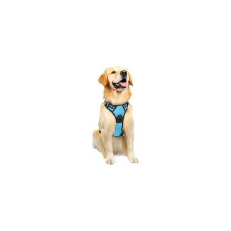 Harnais chien anti-traction bleu clair L, gilet réfléchissant réglable, attache devant, pour chien grand taille, American Staff, Border Collie, trajet voiture –