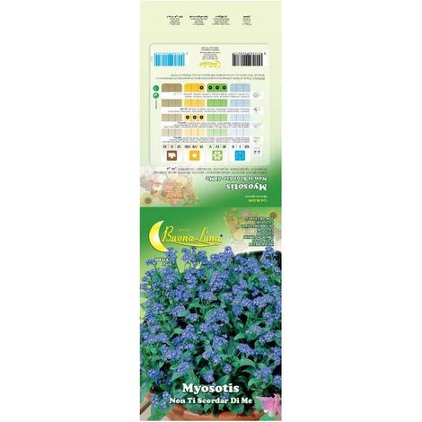 10 x SEMI GARDEN MYOSOTIS
