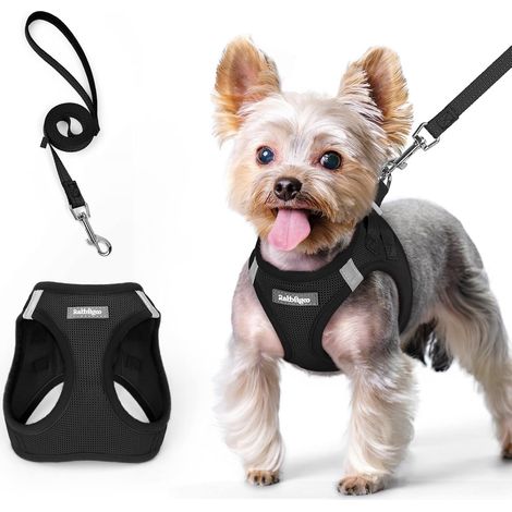 Harnais Chien Petite Taille avec Laisse 156cm, Noir, XS (1/5)