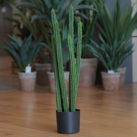 CACTUS CM.95 VERDE SCURO IN VASO