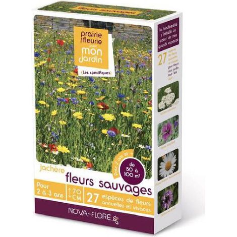 Jachère fleurs sauvages 50 à 100 m2