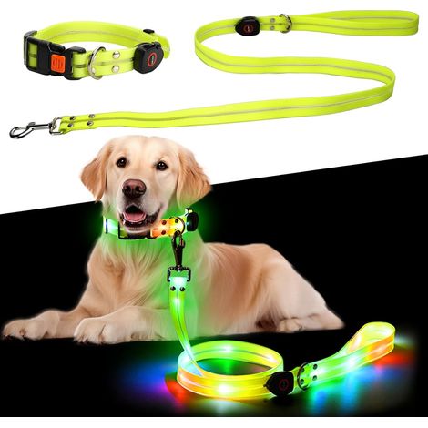 Collier lumineux pour chiens - Rechargeable USB, LED, Pour chiens petits à moyens (1/4)
