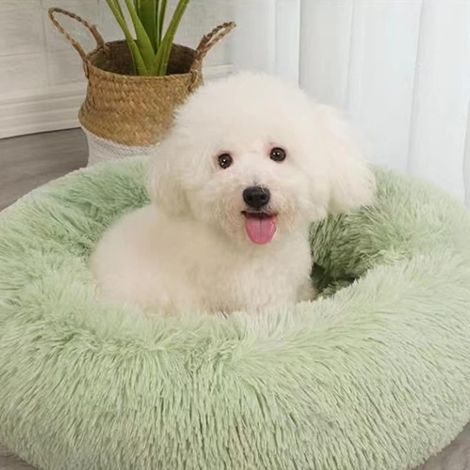 Katzenbett, weiches, waschbares Kissen für Hunde und Katzen (fruchtgrün, 80 cm) (1/4)