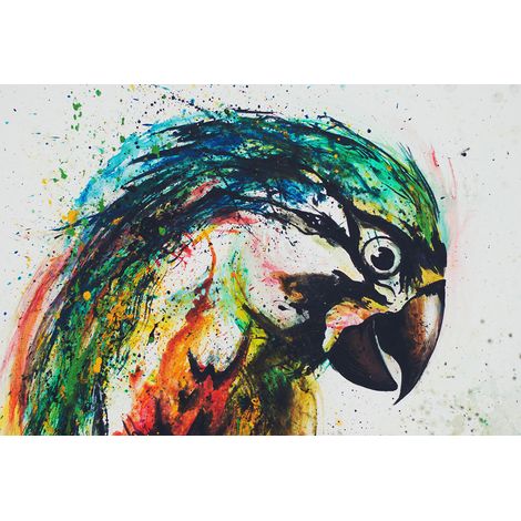 Papier peint panoramique oiseaux multicolore Tapisserie panoramique perroquet pour salon Papiers peints panoramique original animaux (1/2)