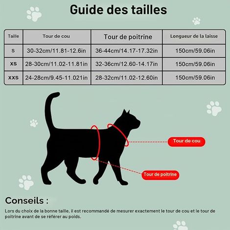 Harnais pour chat - avec laisse et chat, gris (1/4)