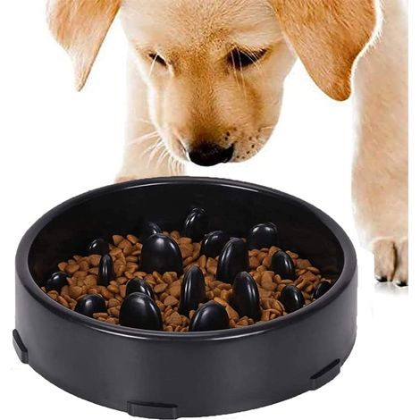 1 gamelle anti-glouton, alimentation lente, fond antidérapant, design interactif, pour chiens de petite et moyenne taille (1/5)