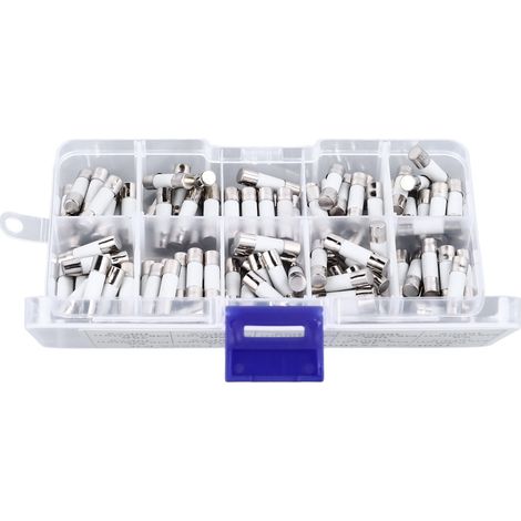 Kit 100 Fusibles Céramiques 5x20mm 250V 0,5A à 30A Assortiment Multifonction (1/5)