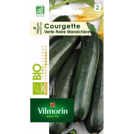 Vilmorin - Courgette Maraichère Verte Noire Bio (1/3)