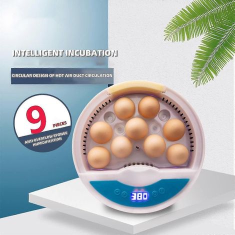 Incubateurs à œufs tout-en-un (9 œufs) - Incubateurs Gashapon automatiques avec contrôle numérique de la température et de l'humidité (1/4)