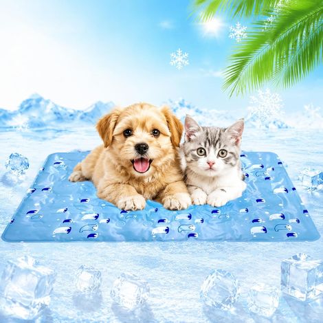 Tapis Rafraichissant Chien, Tapis Rafraîchissant Durable pour Animaux de Compagnie, Coussin en Gel Imperméable et Non Toxique pour Chiens et Chats(Blue, 50X60cm) (1/5)