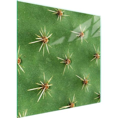 Protezione in vetro per piano cottura 50x52 Cactus (1/5)