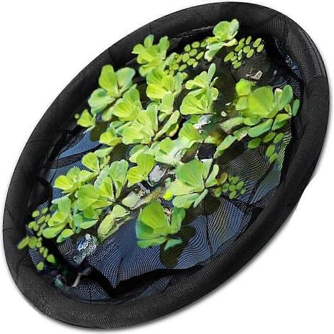 Filet de protection noir pour plantes, barrière flottante pour fleurs et poissons, filet rond flottant pour poissons, accessoires flottants, 45 cm x 45 cm (1/5)