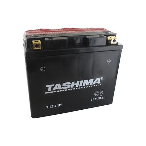 Batteria al Piombo sigillata senza manutenzione 12V, 10A. L: 150, L: 69, H: 130mm, + a sinistra per moto. (con acido separato). - Bat