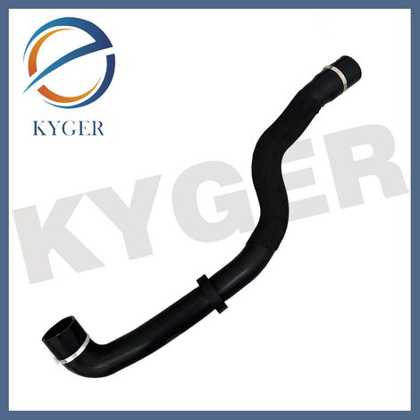 Tuyau d'intercooler compatible avec Land Rover Range Rover RR13RS14 (LR053285) (1/5)