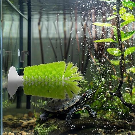 Brosse de nettoyage pour tortues avec ventouse outil de décoration pour aquarium accessoires pour l’entretien et l’alimentation des tortues. (1/4)