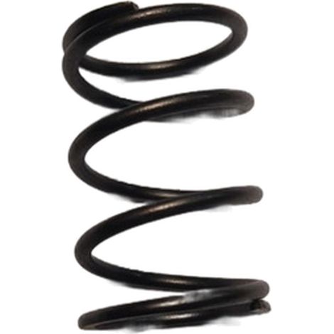 Muelle Valvula Motor compatible con Nh150 Ref 978049