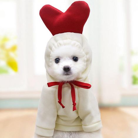 Costume De Noël Pour Animal De Compagnie - En Polyester - Pour Chiens Et Chats - Respirant Et Confortable - Disponible En Tailles XS À 2XL (1/5)