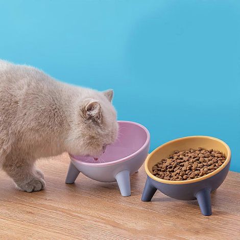 Distributeur d'eau et de nourriture antidérapant et anti-retour pour protéger la colonne vertébrale du chat (1/4)
