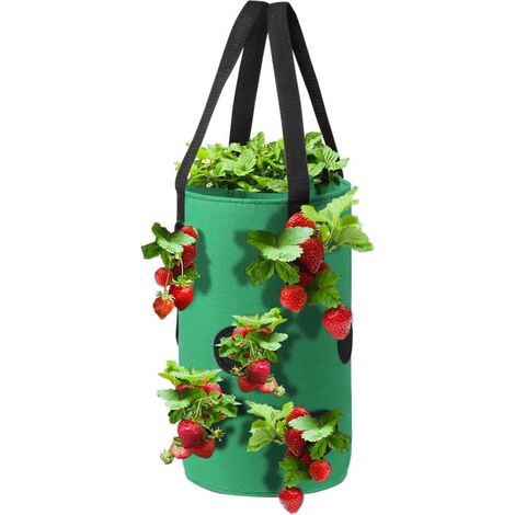 Panier suspendu pour plantes, jardinière suspendue en feutre à pétales, sac de rangement, pot de fleurs épais, accessoires de jardin (Couleur : Vert) (1/5)